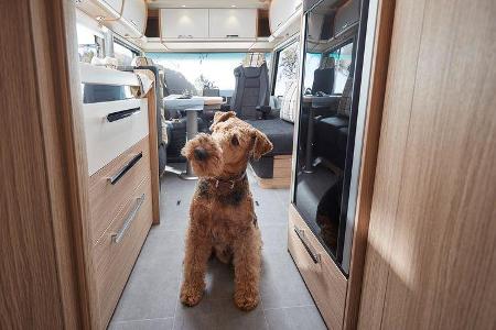 Niesmann + Bischoff Arto (2020)