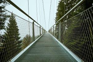 Advertorial Wildline