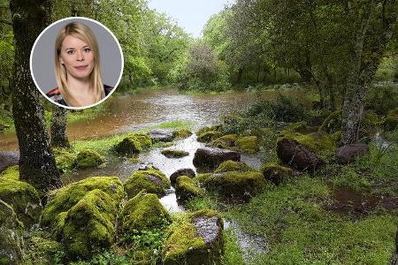 Wir über uns - Pannen und Pleiten