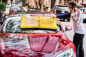 Barnacle Parkkralle Fenster