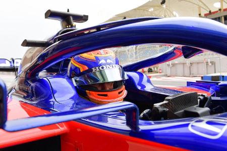 Alexander Albon - Toro Rosso - F1-Test - Bahrain - 2. April 2019