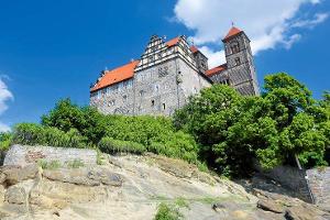 IM WELTBERÜHMTEN GARTENREICH Dessau-Wörlitz beginnt es jetzt überall zu blühen.