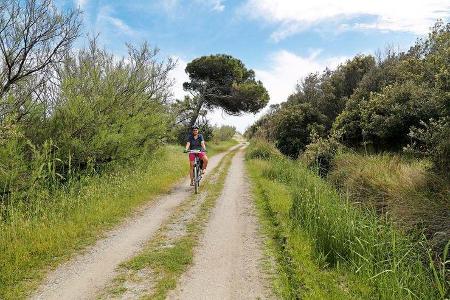 Radweg zum Lido di Volano