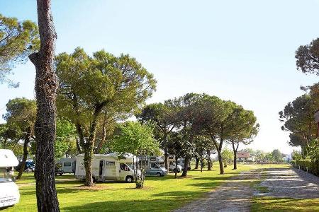 Stellplatz La Valletta Sosta Verde unter alten Pinien
