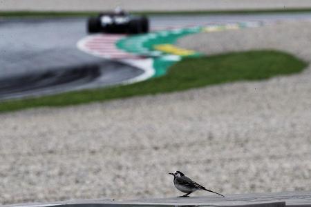 Impressionen - Formel 1 - GP Österreich - 30. Juni 2018