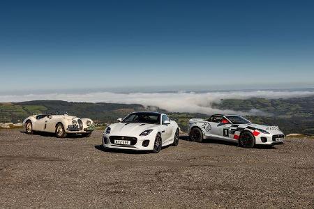 Jaguar F-Type Rallye-Version - 2018