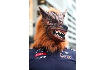 Formel 1 GP USA 2014 - Red Bull - Showrun - 29. Oktober 2014