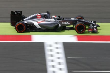 Adrian Sutil - GP England 2014