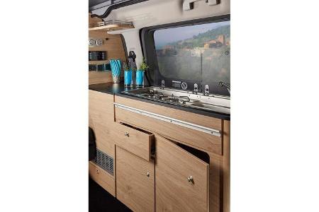 Bravia Swan 495 (2019)