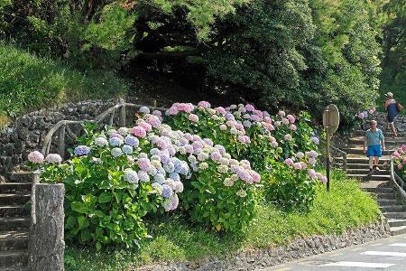 Mobil-Tour durch Aquitanien