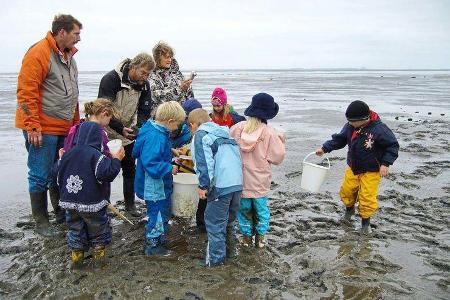Wattwandern an der Nordseeküste