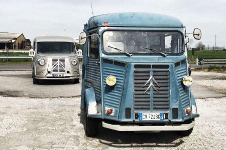 David Obendorfer Typ H 70th Anniversary Van