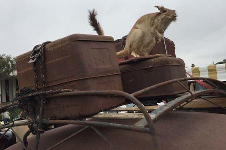 Concours d'Lemons Monterey