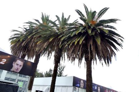 Impressionen - GP Mexiko - Formel 1 - Mittwoch - 25.10.2017