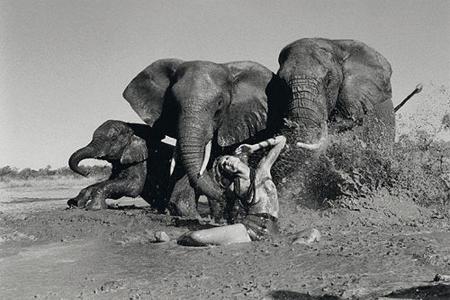 Pirelli-Kalender 2009