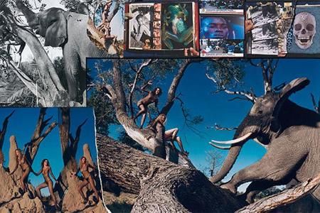 Pirelli-Kalender 2009