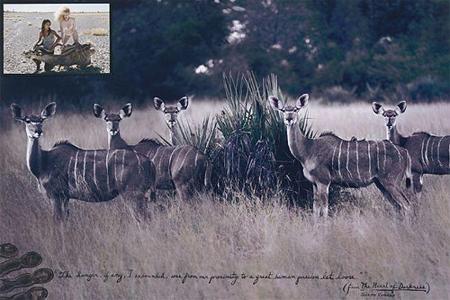 Pirelli-Kalender 2009