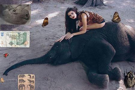 Pirelli-Kalender 2009