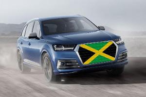 Verkehrspolitik Verbrennungsmotor Jamaika Koalition