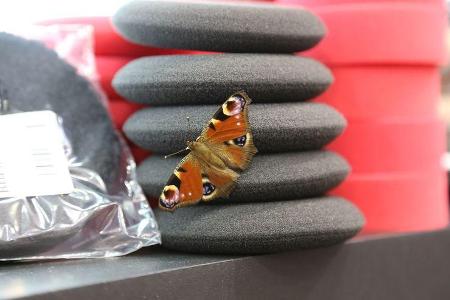 Essen Motor Show 2017, Messe-Rundgang, Highlights