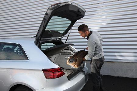 Audi A3 2.0 TDI, Kofferraum