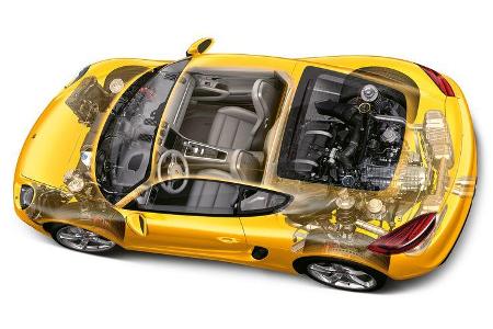 Porsche Cayman S, Grafik, Igelbild