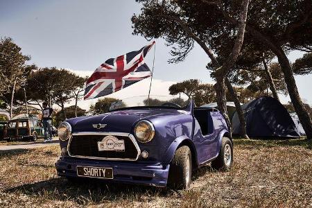International Mini Meeting