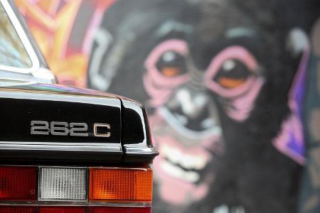 Volvo 262C Bertone 1981 Logo