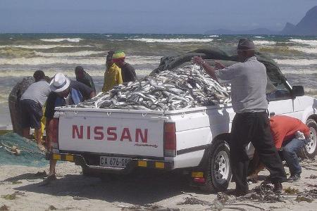 Beladen auf afrikanisch: Fangfrischer Fisch, bis irgendwann die Federung aufgibt.