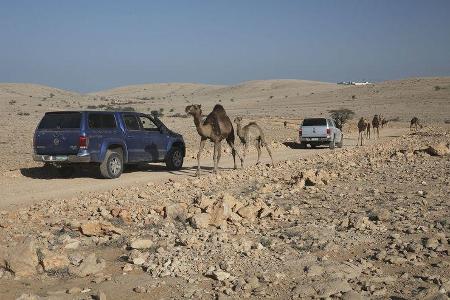 VW Amarok 190 kW Fahrbericht Oman 2018