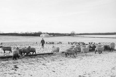 Jim Clark - Formel 1 - Historie