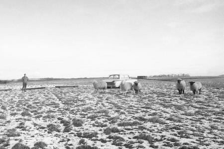 Jim Clark - Formel 1 - Historie