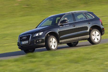 Audi Q5 Wendland