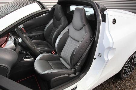 Renault Wind 1.6 16V, Fahrersitz