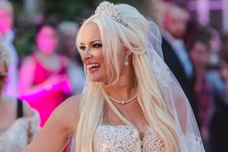 Die Katze verzichtete auf eine aufwendige Hochsteckfrisur