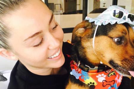 Miley Cyrus mit ihrem Hund Happy