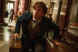 In "Phantastische Tierwesen und wo sie zu finden sind" spielt Eddie Redmayne den Zauberer Newt Scamander