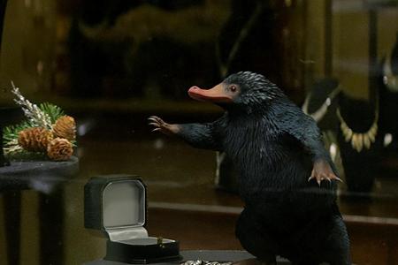 Niffler haben eine besondere Vorliebe für alles, was glänzt und glitzert.