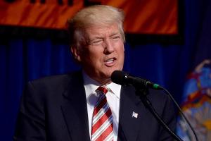 Donald Trump wird der nächste US-Präsident