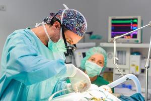 Wird die OP von Henry gut verlaufen?