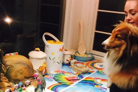 Cyrus' Mini-Collie Emu: Mal in echt und mal als Hundekuchen