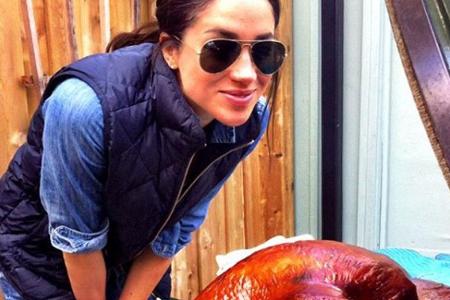 Diesen Truthahn tischte Meghan Markle ihren Gästen im letzten Jahr an Thanksgiving auf