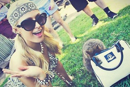 Geht es hier mehr um Paris Hilton und ihre Tasche oder um den kleinen Wombat?
