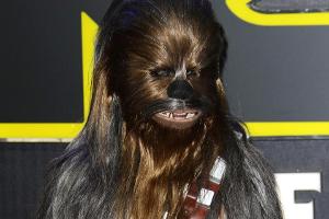 Chewbacca bleibt Han Solo treu