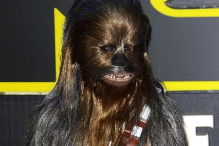 Chewbacca bleibt Han Solo treu
