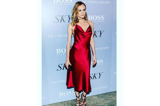 Diana Kruger 3 httpswww.instagram.comdianekruger.jpg