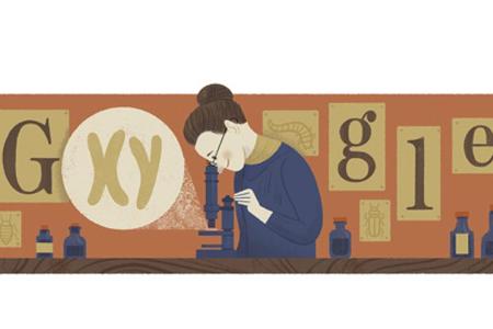 Das Google Doodle für Nettie Stevens