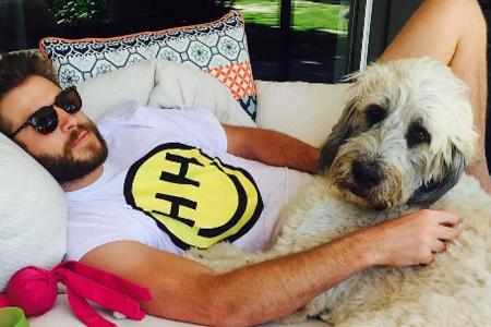 Bei diesem Anblick dürfte nicht nur Miley Cyrus dahinschmelzen