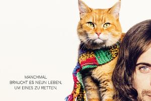 So schlicht wie die Geschichte: Das Filmplakat zu "Bob, der Streuner"