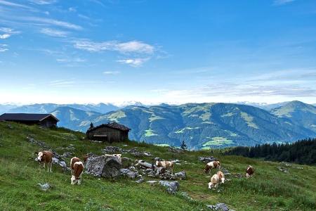 Und immer bieten sich spektakuläre Aussichten wie auf der Hochalm bei Scheffau